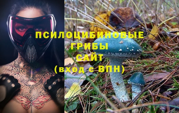 прущая мука Верхний Тагил