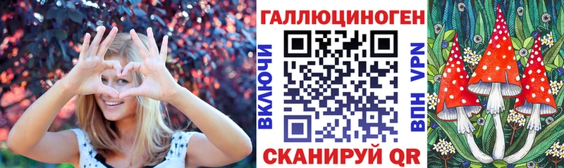 Псилоцибиновые грибы Psilocybine cubensis  Псков 